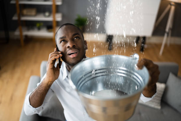 Best Carpet water damage restoration  in The Crossings, FL