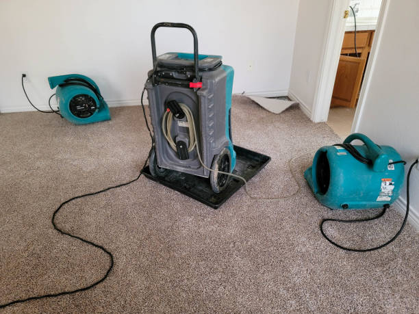 Best 24/7 water damage repair  in The Crossings, FL