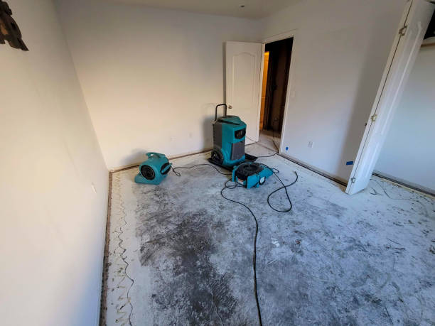 Best Professional water damage repair  in The Crossings, FL