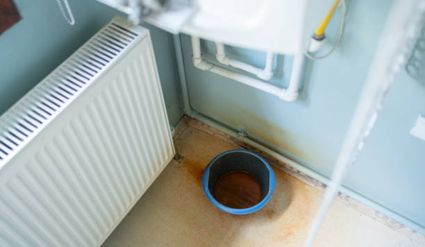Best Sewage cleanup and water damage restoration  in The Crossings, FL