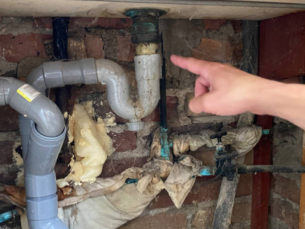 Best Residential water damage restoration  in The Crossings, FL