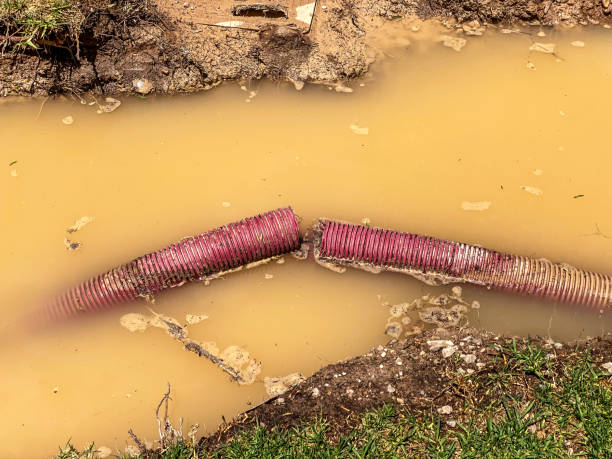 Best 24-hour water damage restoration  in The Crossings, FL